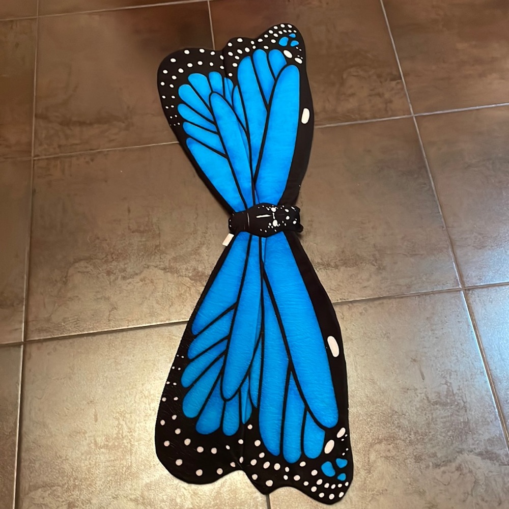 Butterfly Wings